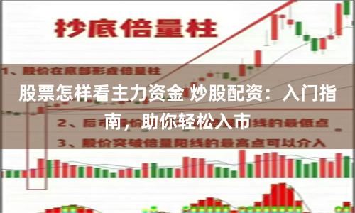 股票怎样看主力资金 炒股配资：入门指南，助你轻松入市