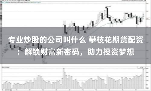 专业炒股的公司叫什么 攀枝花期货配资：解锁财富新密码，助力投资梦想