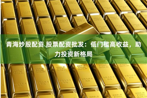 青海炒股配资 股票配资批发:低门槛高收益,助力投资新格局