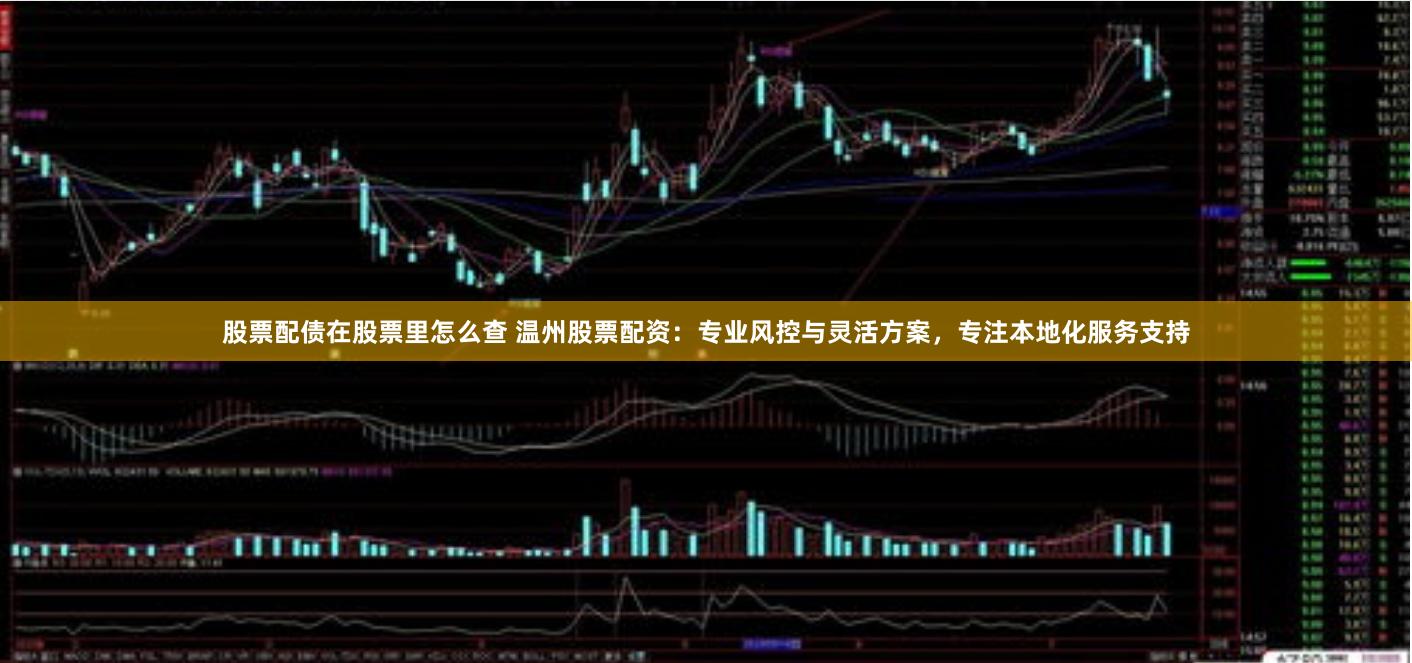 股票配债在股票里怎么查 温州股票配资：专业风控与灵活方案，专注本地化服务支持